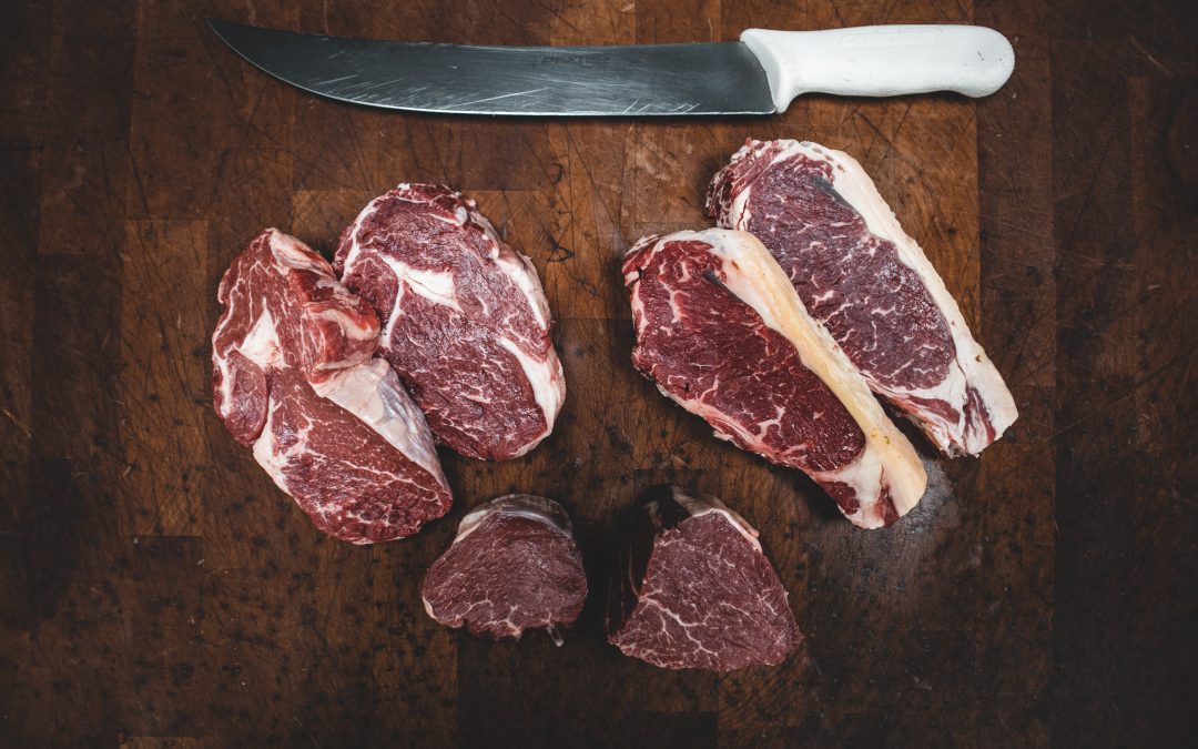 Perché bisognerebbe mangiare carne