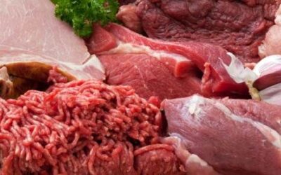 Le proteine della carne